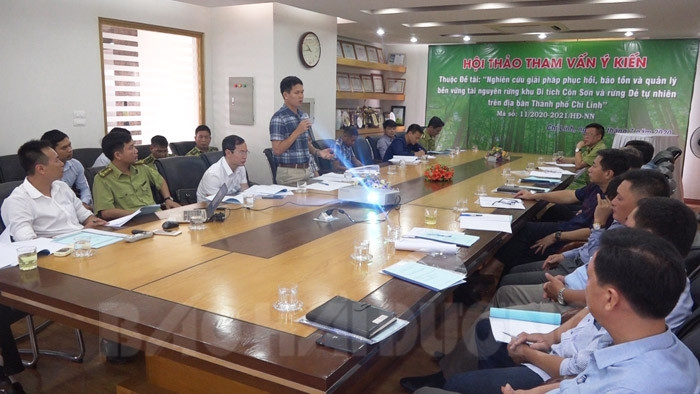 Solutions to enrich forest resources at Con Son relic discussed